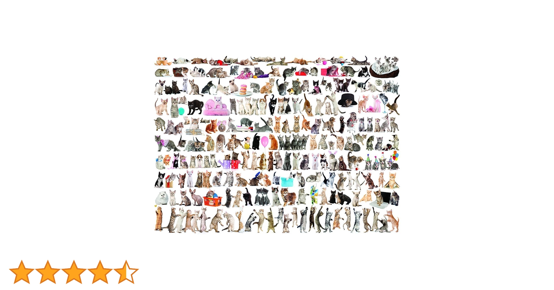 Amazon.co.jp: 1000ピース ジグソーパズル 世界の猫たち : おもちゃ